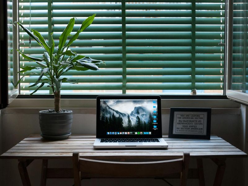 Minimalist workspace with plants and natural light from window.